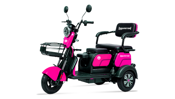 MAQUIMOTORA TRIMOTO MQ6